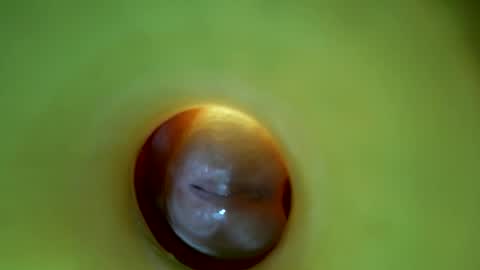 bigmoneycorey online show from 03/16/26, 06:56