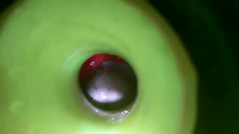 bigmoneycorey online show from 04/01/26, 07:11