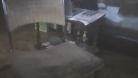 Snapshot of bigpenix chatting on 01/15/25, 02:06 bigpenix online show from 01/15/25, 02:06