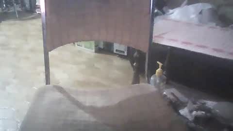 Snapshot of bigpenix chatting on 01/26/25, 03:48 bigpenix online show from 01/26/25, 03:48