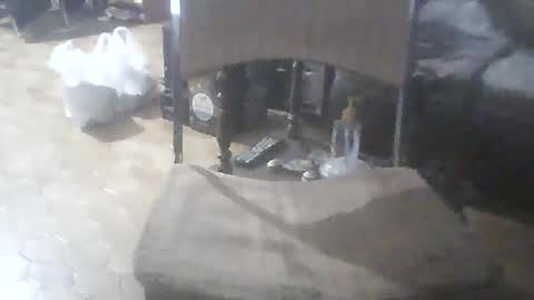 bigpenix online show from 02/07/26, 11:52