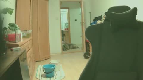 bigredkong7777 online show from 09/09/25, 06:51