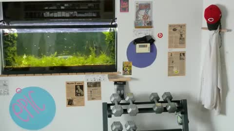 Jarvis online show from 02/14/25, 03:26