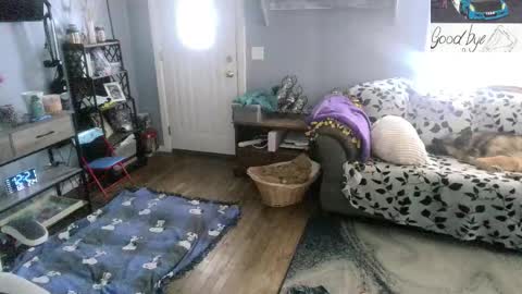 Skittles online show from 02/24/26, 05:22