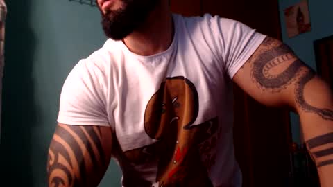 BigStallion online show from 12/15/24, 11:42