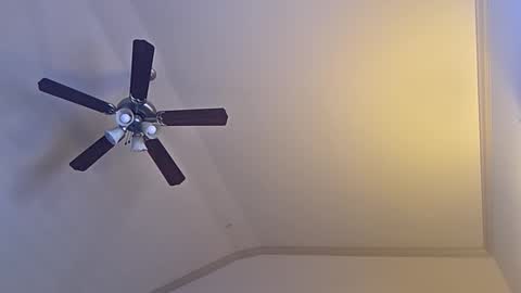 bigswoletroll online show from 03/12/26, 07:31