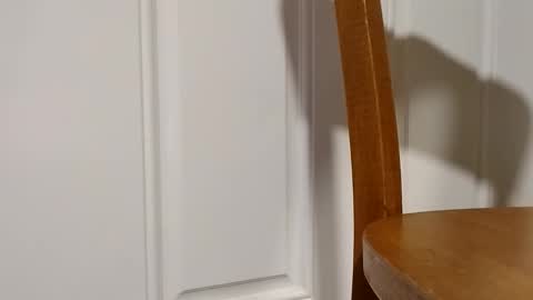 bigtopcircus online show from 02/28/26, 02:56