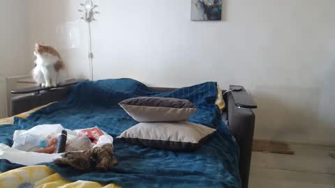 BigTwinsOmg online show from 02/24/26, 07:39