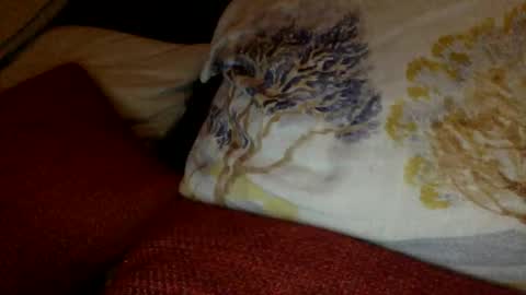 bigvic25cm online show from 03/01/25, 07:04