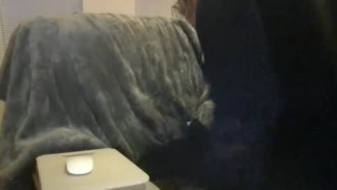 Bigwhitedickdaddy and BabyCakes online show from 02/16/26, 11:50