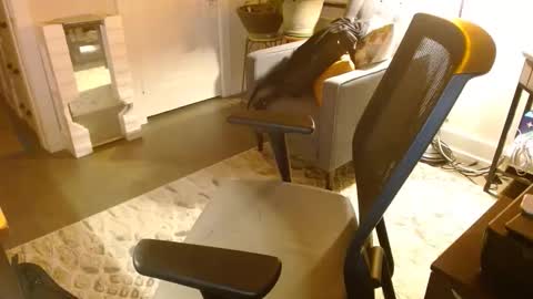 Jeff online show from 03/29/26, 05:18