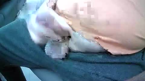 Snapshot of bikeman17 chatting on 10/04/25, 08:45 bikeman17 online show from 10/04/25, 08:45