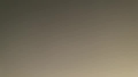 bill95099 online show from 01/15/25, 04:43