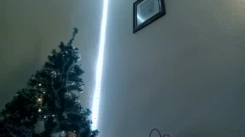 Bill online show from 01/06/25, 10:24