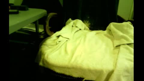 Snapshot of bimale4hotphuk chatting on 02/21/25, 07:45 bimale4hotphuk online show from 02/21/25, 07:45