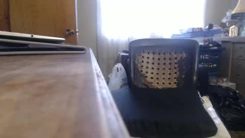 Bimbttm online show from 12/19/24, 05:50