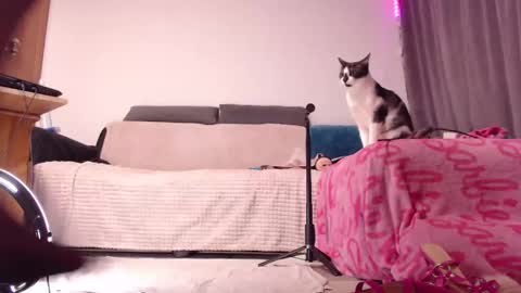 BitE ThE TreaT online show from 02/15/25, 02:04