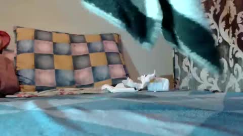 if you love pussy give 1 token - im a poor girl any token counts-my shop video pussy  virgina  hairy pussy 1 token online show from 03/10/25, 09:07