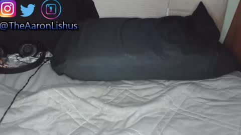 bizarre99 online show from 01/13/25, 05:12