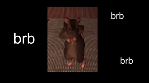  Black Kittie    Wednesday - 1300 - 1900 GMT help me get 100 thumbs up online show from 01/31/25, 01:12