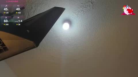 B L A C K  R O S E  online show from 02/12/25, 11:51