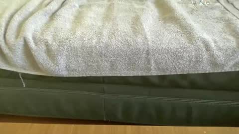 blacky290 online show from 05/25/26, 09:26
