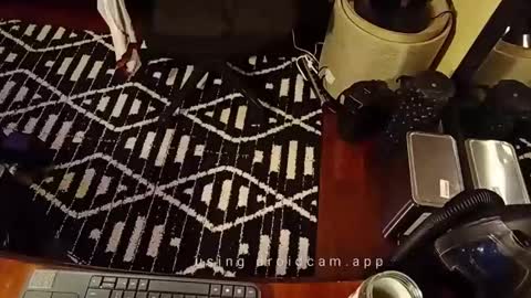 Blackjag00 online show from 02/19/25, 07:06