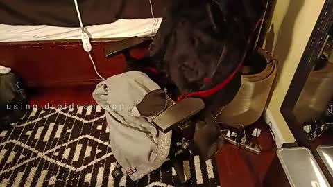 Blackjag00 online show from 03/05/25, 09:26