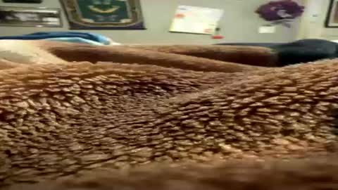 blancobenzo online show from 08/01/26, 06:51