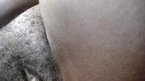  cherry  online show from 09/14/25, 05:23