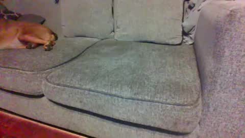 blaw_1321 online show from 09/29/25, 04:50