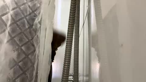 Snapshot of blkbiguncut10462 chatting on 02/24/25, 06:15 blkbiguncut10462 online show from 02/24/25, 06:15