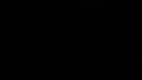 bunbury online show from 10/13/25, 10:32