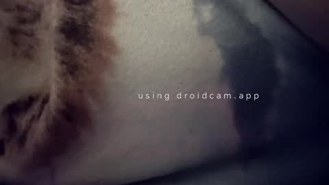 bluealpakka online show from 03/15/26, 04:40