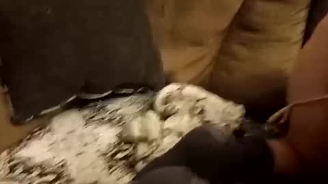 Snapshot of bnaa2m chatting on 09/28/25, 01:49 Assdrtyasuwant online show from 09/28/25, 01:49