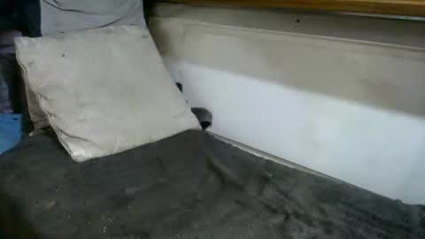 boatfun56 online show from 02/12/26, 11:00