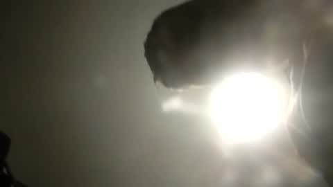 bobby160968 online show from 02/24/25, 06:26