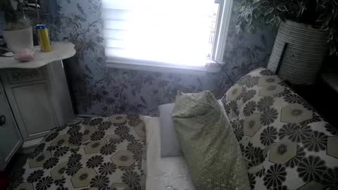 Snapshot of bobbyandsadie chatting on 11/22/25, 02:49 Bobby and Sadie online show from 11/22/25, 02:49