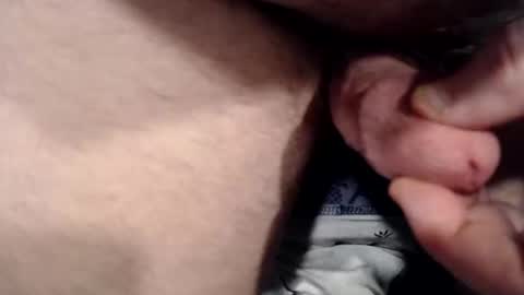 bobswan online show from 12/20/24, 02:49