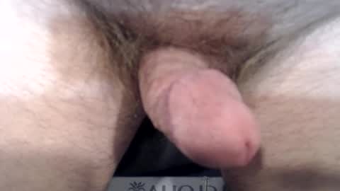 bobswan online show from 12/22/24, 03:55