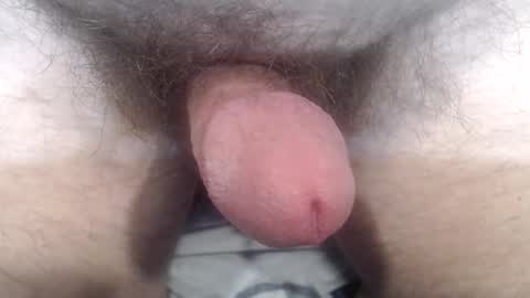 bobswan online show from 10/24/25, 03:41