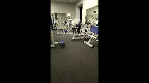 BODI online show from 04/02/26, 05:54