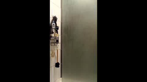 Sailorartemis online show from 12/15/25, 09:57