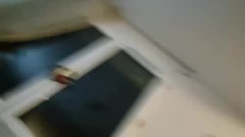 Snapshot of bomale89 chatting on 12/22/24, 11:09 bomale89 online show from 12/22/24, 11:09