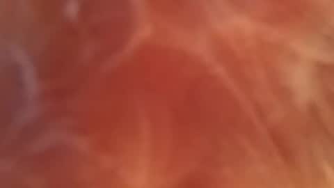 bombelpunk86 online show from 02/13/25, 08:06