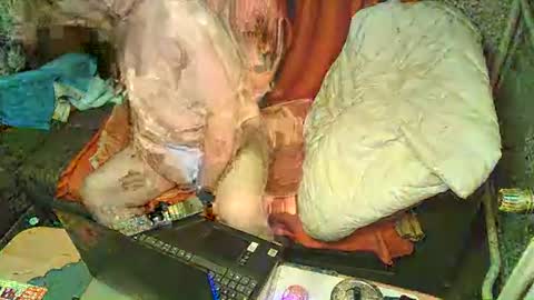 Bomber59potsdam online show from 01/06/25, 09:32