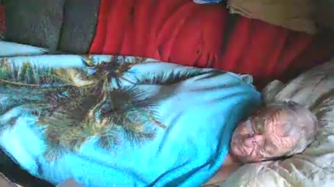 Bomber59potsdam online show from 01/25/25, 11:02