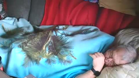 Bomber59potsdam online show from 01/28/25, 10:02