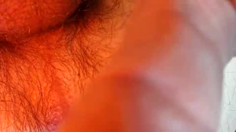 Snapshot of bonnie312 chatting on 09/18/25, 04:09 bonnie312 online show from 09/18/25, 04:09