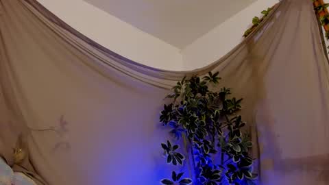 Snapshot of bonniecute_ chatting on 10/11/25, 11:47 online show from 10/11/25, 11:47